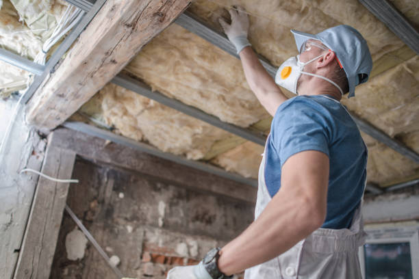 Best Insulation Maintenance and Repair in New Lexington, OH